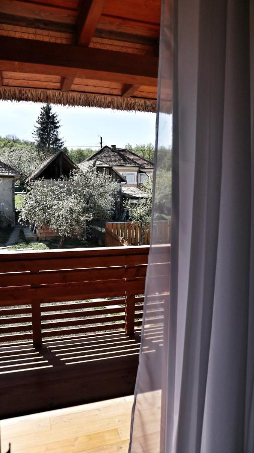 Pensiunea Nadas Panzio Sic Exteriör bild